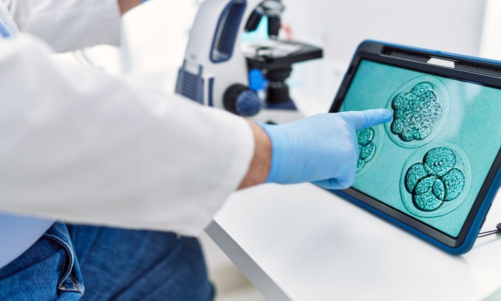 Was ist Eizell-, Samen- und Embryonenspende Ein Leitfaden zu IVF-Behandlungen mit Spendern