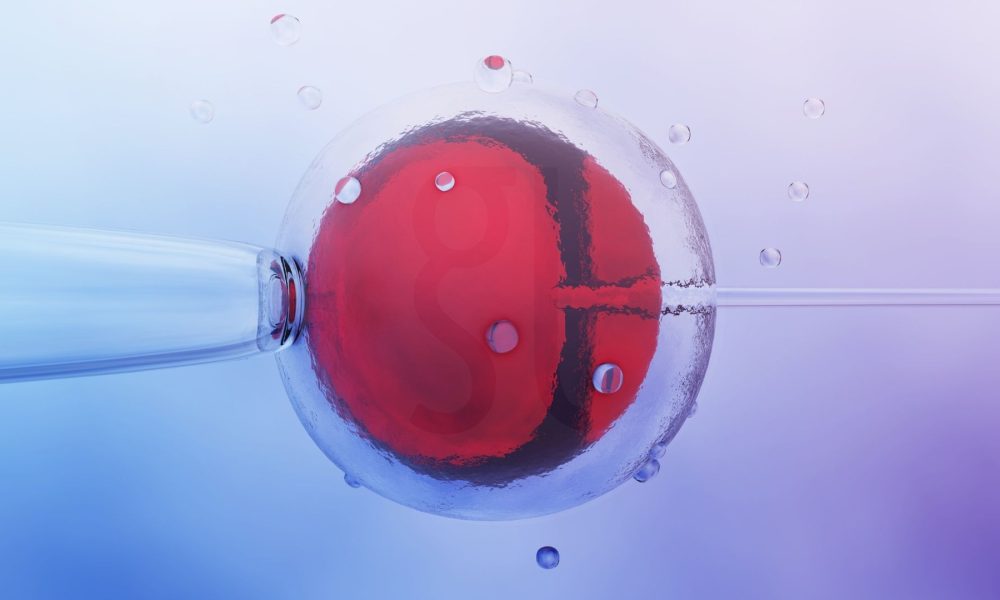 Was ist IVF Ein vollständiger Leitfaden zur In-vitro-Fertilisation