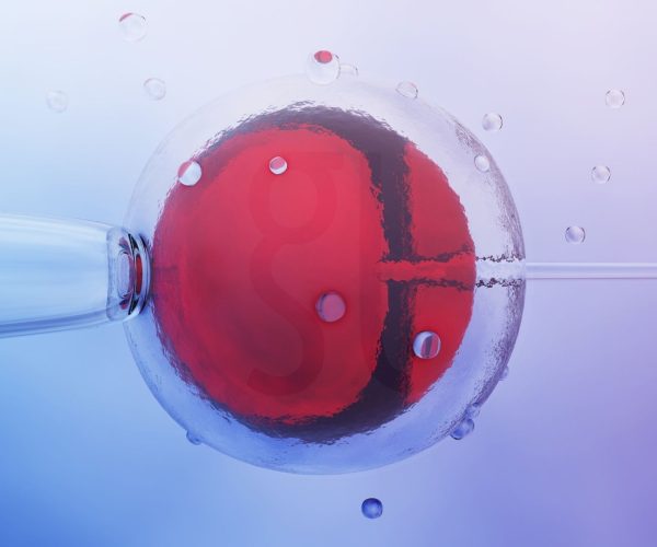 Was ist IVF Ein vollständiger Leitfaden zur In-vitro-Fertilisation