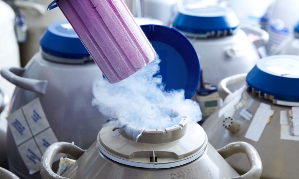 ivf zypern fruchtbarkeit