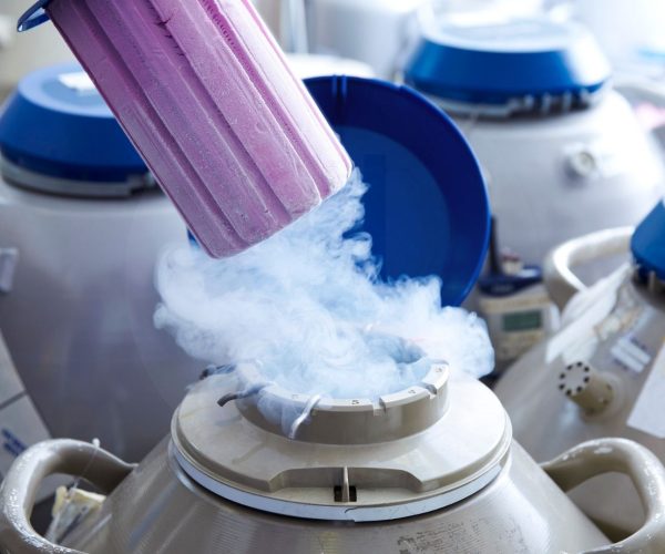 ivf zypern fruchtbarkeit