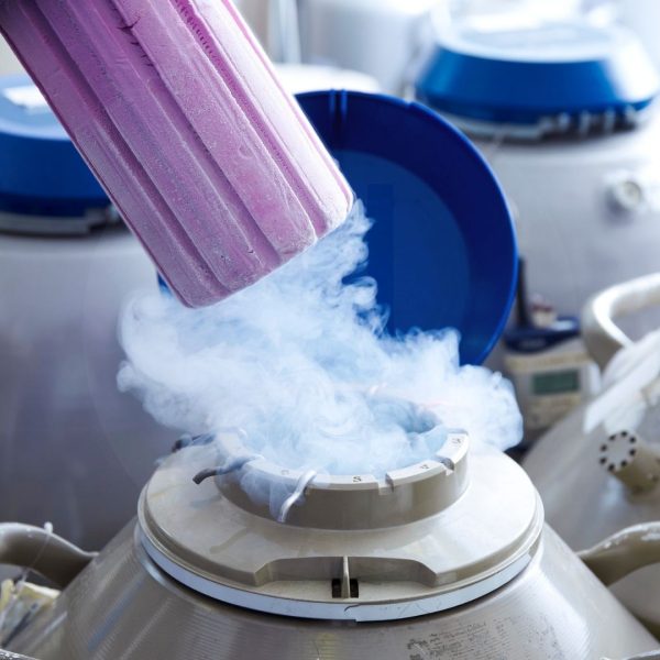 ivf zypern fruchtbarkeit