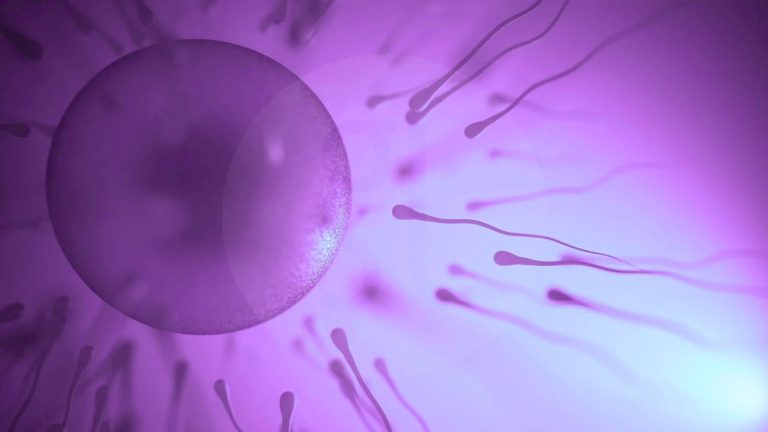Die Embryo-Pooling-Methode